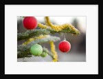 Christmas Ornaments on Tree Covered with Frost by Anonymous