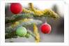 Christmas Ornaments on Tree Covered with Frost by Anonymous