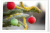 Christmas Ornaments on Tree Covered with Frost by Anonymous