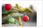 Christmas Ornaments on Tree Covered with Frost by Anonymous