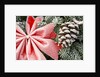 Christmas Decoration on Tree Covered with Frost by Anonymous