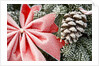 Christmas Decoration on Tree Covered with Frost by Anonymous