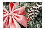 Christmas Decoration on Tree Covered with Frost by Anonymous