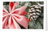 Christmas Decoration on Tree Covered with Frost by Anonymous