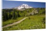 Mount Rainier National Park by Anonymous