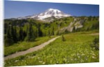 Mount Rainier National Park by Anonymous