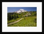 Mount Rainier National Park by Anonymous