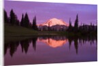 Mount Rainier and Tipsoo Lake by Anonymous