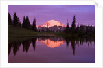 Mount Rainier and Tipsoo Lake by Anonymous