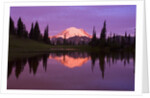 Mount Rainier and Tipsoo Lake by Anonymous