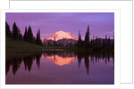 Mount Rainier and Tipsoo Lake by Anonymous
