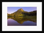 Yakima Peak and Tipsoo Lake by Anonymous