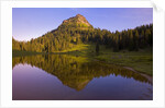 Yakima Peak and Tipsoo Lake by Anonymous