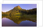 Yakima Peak and Tipsoo Lake by Anonymous