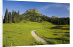 Yakima Peak and Tipsoo Lake by Anonymous