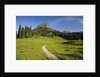 Yakima Peak and Tipsoo Lake by Anonymous