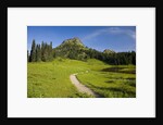 Yakima Peak and Tipsoo Lake by Anonymous