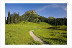 Yakima Peak and Tipsoo Lake by Anonymous