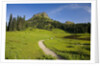 Yakima Peak and Tipsoo Lake by Anonymous