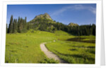 Yakima Peak and Tipsoo Lake by Anonymous
