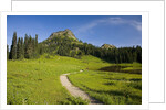 Yakima Peak and Tipsoo Lake by Anonymous