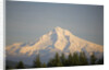 Mount Hood by Anonymous