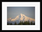 Mount Hood by Anonymous