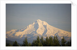 Mount Hood by Anonymous