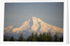 Mount Hood by Anonymous