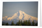 Mount Hood by Anonymous
