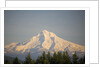 Mount Hood by Anonymous