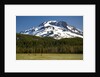 Deer Feeding in Meadow at Foot of South Sister by Anonymous
