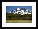 Deer Feeding in Meadow at Foot of South Sister by Anonymous