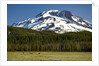 Deer Feeding in Meadow at Foot of South Sister by Anonymous