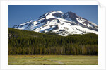 Deer Feeding in Meadow at Foot of South Sister by Anonymous