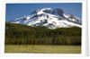 Deer Feeding in Meadow at Foot of South Sister by Anonymous