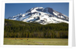 Deer Feeding in Meadow at Foot of South Sister by Anonymous