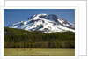 Deer Feeding in Meadow at Foot of South Sister by Anonymous