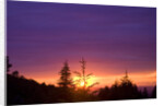 Sunset at Columbia River Gorge by Anonymous