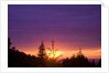 Sunset at Columbia River Gorge by Anonymous
