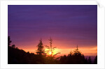 Sunset at Columbia River Gorge by Anonymous