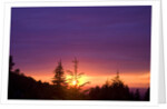 Sunset at Columbia River Gorge by Anonymous