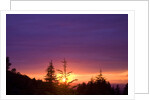 Sunset at Columbia River Gorge by Anonymous