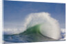 Wave Curl in Winter Storm by Anonymous