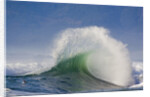 Wave Curl in Winter Storm by Anonymous