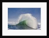 Wave Curl in Winter Storm by Anonymous