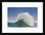 Wave Curl in Winter Storm by Anonymous