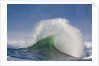 Wave Curl in Winter Storm by Anonymous