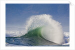 Wave Curl in Winter Storm by Anonymous