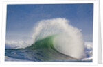 Wave Curl in Winter Storm by Anonymous